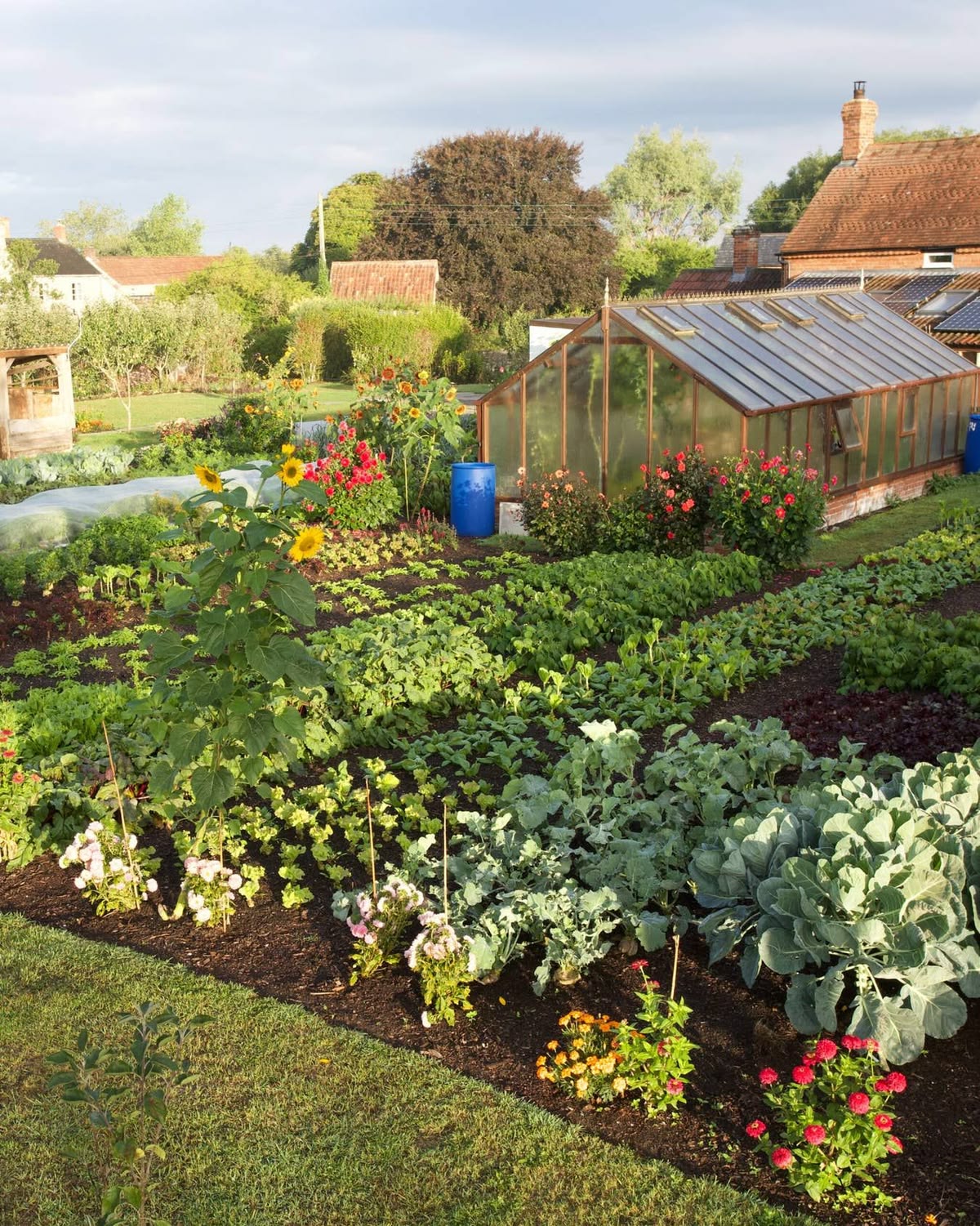 Home gardening